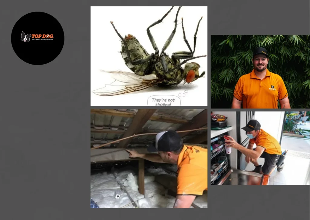 Effective Specialist Mosquito Control Treatments for Safe and Pest-Free Homes Effective Specialist Mosquito Control Treatments for Safe and Pest-Free Homes