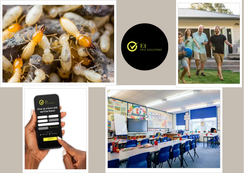 E1 Pest Solutions for Pest Control Sydney: Fast, Safe, Eco-Friendly Results E1 Pest Solutions for Pest Control Sydney: Fast, Safe, Eco-Friendly Results