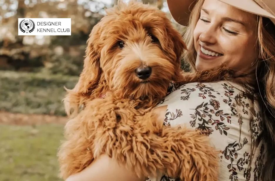 How to Get Official Dog Papers Without Existing Records: A Local Guide How to Get Official Dog Papers Without Existing Records: A Local Guide