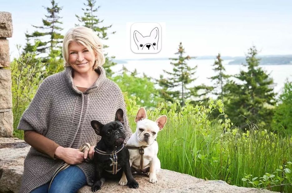 How to Use DWKC Papers to Verify Your French Bulldog’s Pedigree and Lineage How to Use DWKC Papers to Verify Your French Bulldog’s Pedigree and Lineage