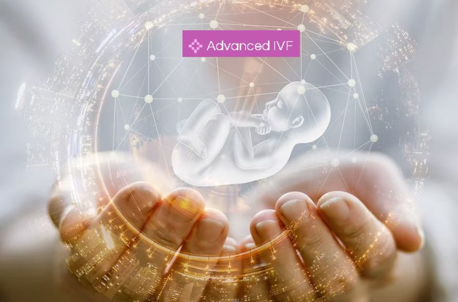 Guest Post: How IVF Mexico Couples Can Find the Right Clinic for Their Journey Guest Post: How IVF Mexico Couples Can Find the Right Clinic for Their Journey
