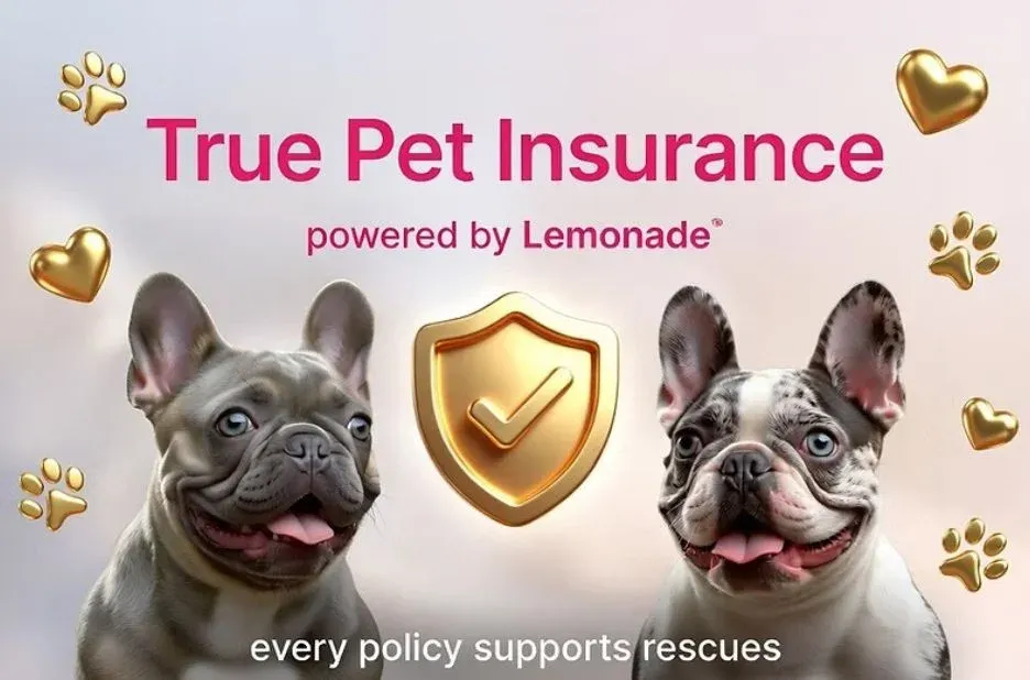 True Panion Pet Insurance: How Trusted Coverage Protects Your Pet True Panion Pet Insurance: How Trusted Coverage Protects Your Pet