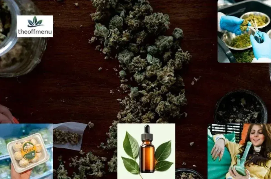 Buy Marijuana Canada: Safe, Reliable Options with Expert Guidance from Theoffmenu.co Buy Marijuana Canada: Safe, Reliable Options with Expert Guidance from Theoffmenu.co
