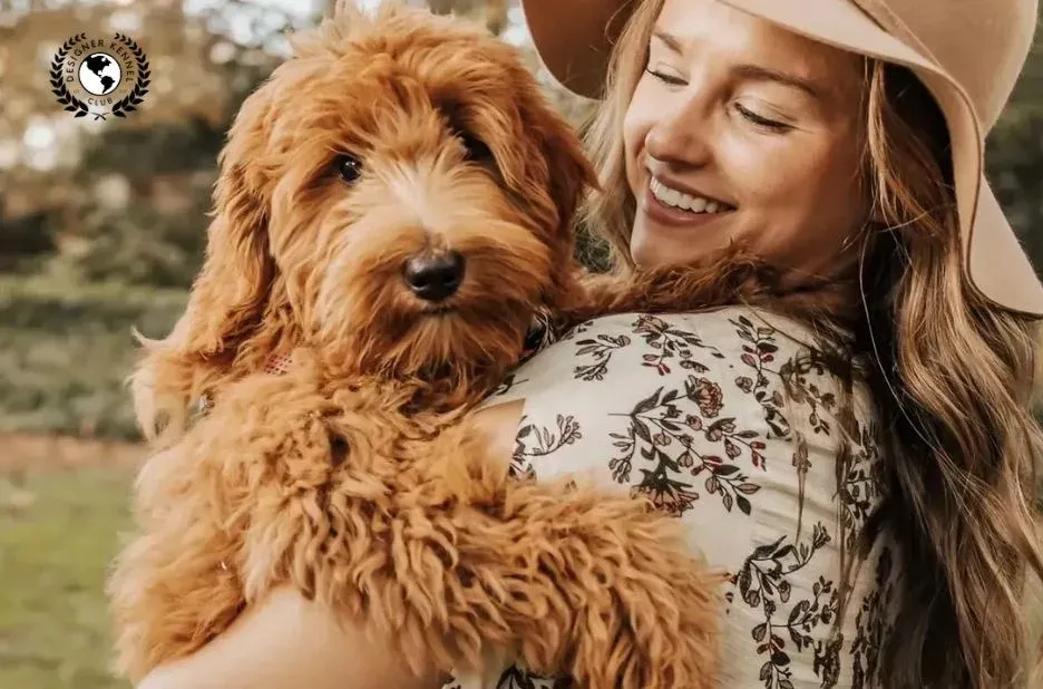How to Get Papers on a Dog: Expert Registration Guidance for Responsible Owners How to Get Papers on a Dog: Expert Registration Guidance for Responsible Owners