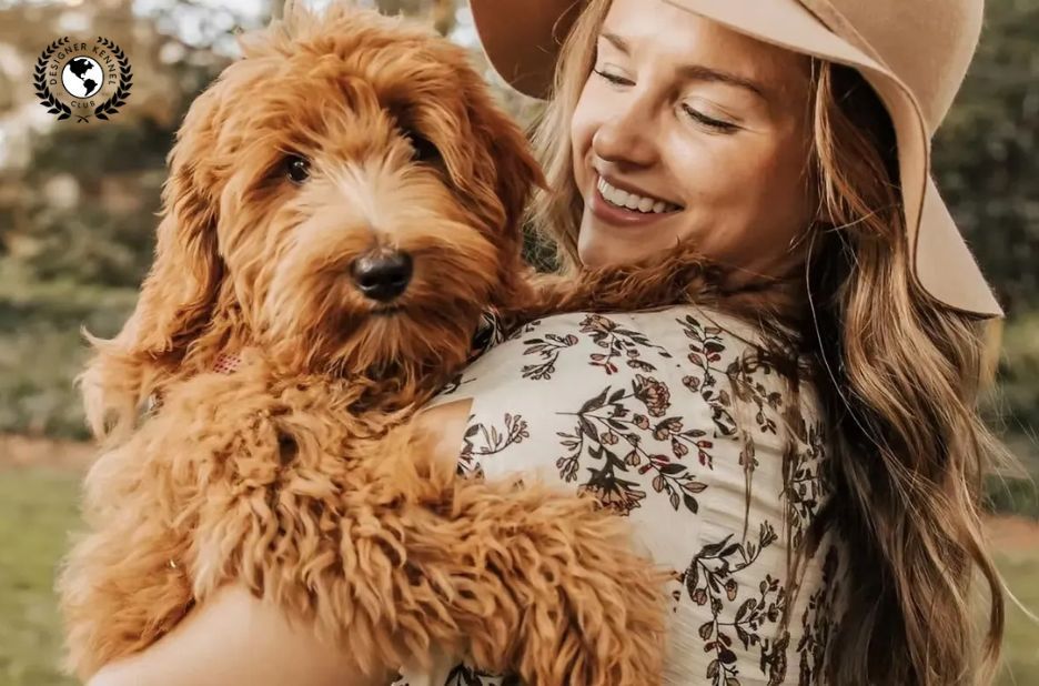 Maltipoo Registration Papers: Expert Steps and Advice Maltipoo Registration Papers: Expert Steps and Advice