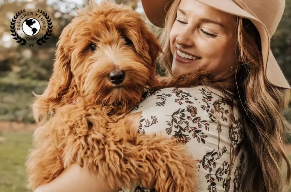 How to Get Papers for a Dog Without Papers Through Responsible Local Registration How to Get Papers for a Dog Without Papers Through Responsible Local Registration