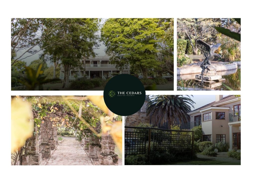 Personalised Recovery Paths for People in Pretoria Personalised Recovery Paths for People in Pretoria