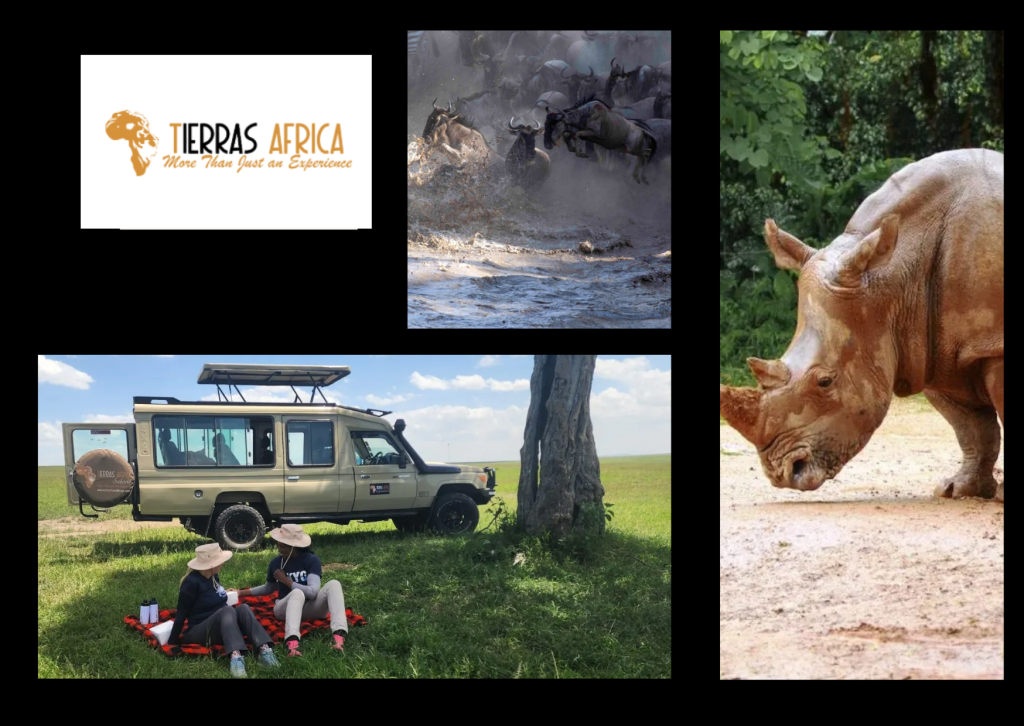 Maasai Mara Hot Air Balloon Checklist for First-Timers